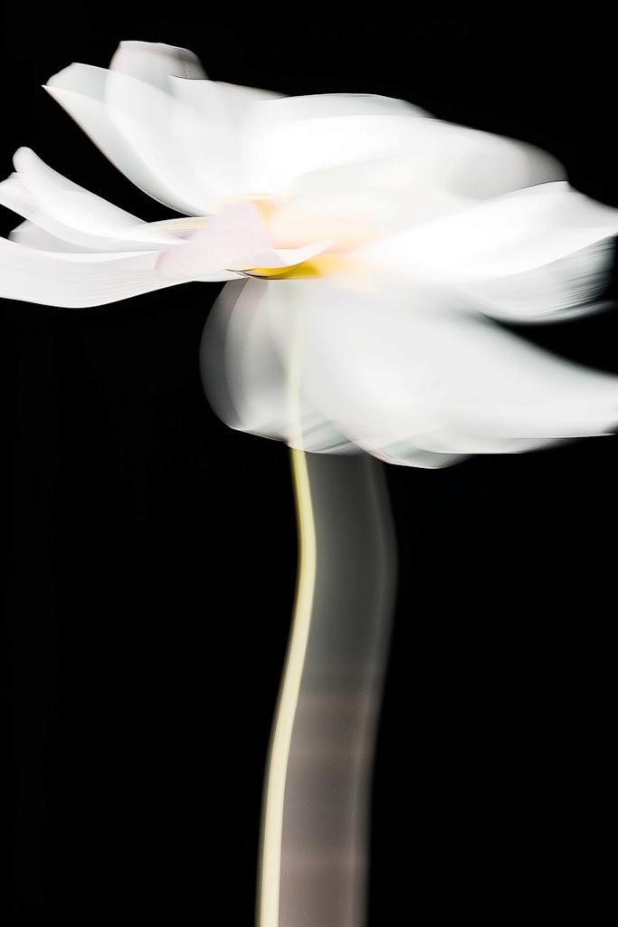 Nimbus Frame
